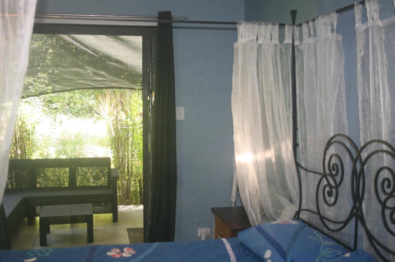 Daintree Rainforest Accommodation Cow Bay 외부 사진