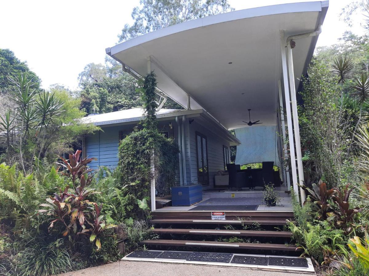 Daintree Rainforest Accommodation Cow Bay 외부 사진