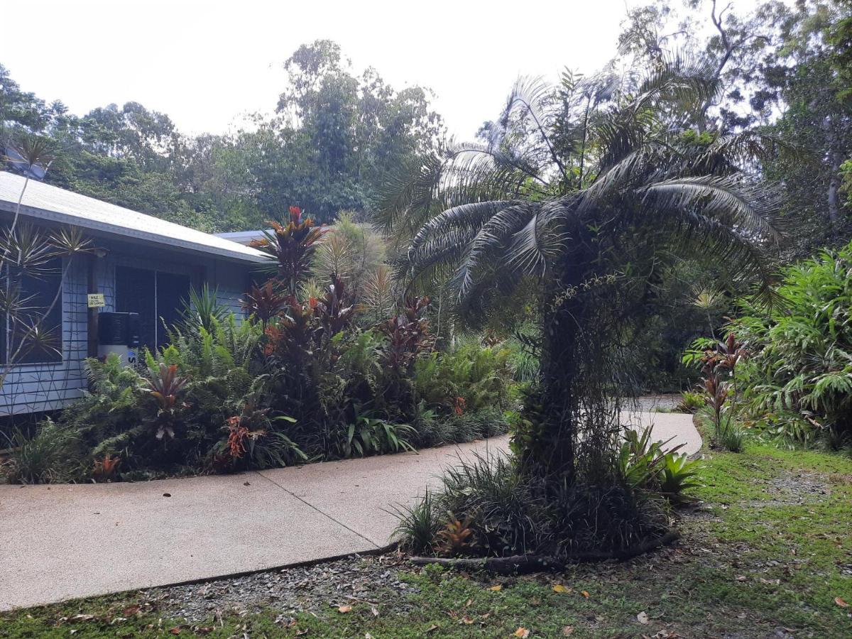 Daintree Rainforest Accommodation Cow Bay 외부 사진