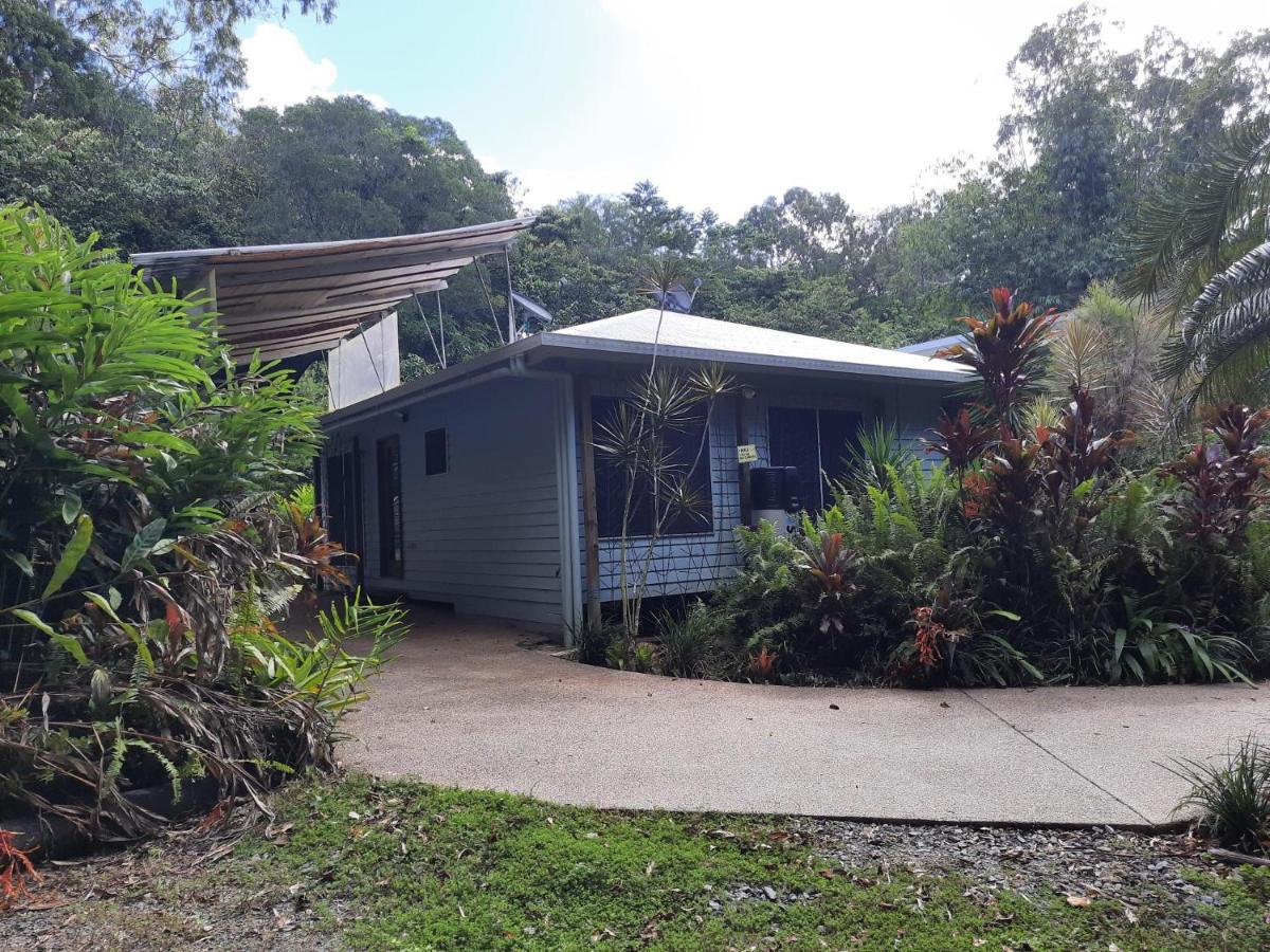 Daintree Rainforest Accommodation Cow Bay 외부 사진
